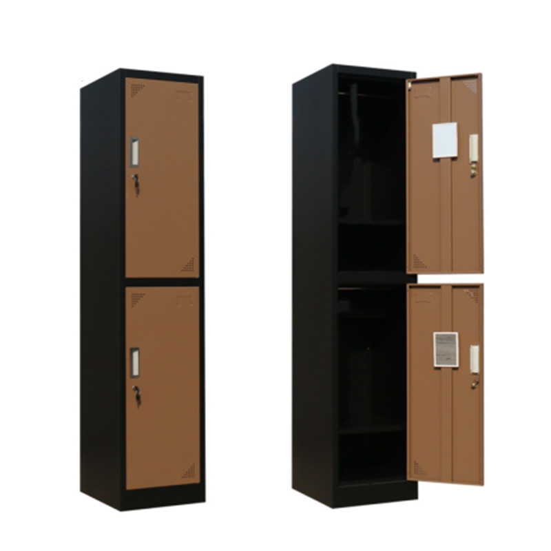 metal brown 2 door locker manufacturer in 2021