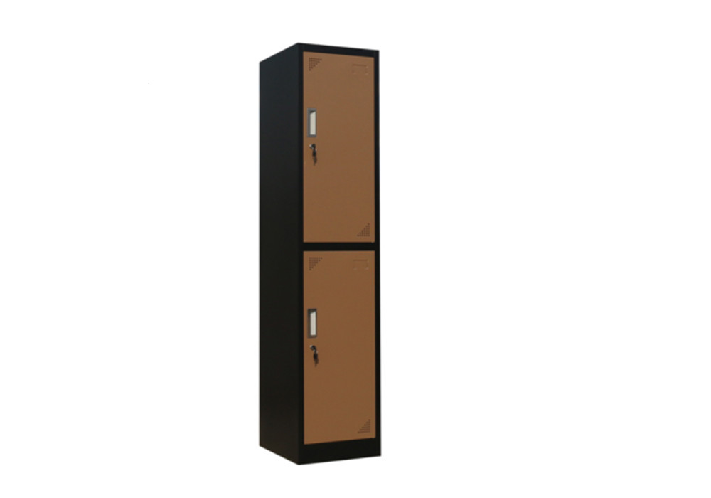 metal brown 2 door locker manufacturer in 2021-2